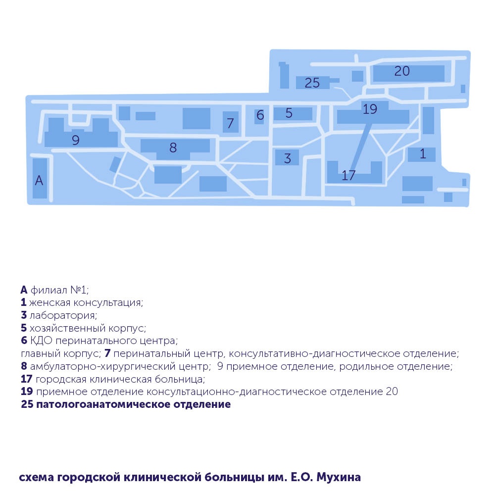 Боткинская карта корпусов